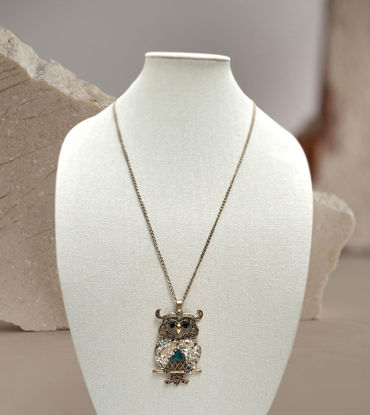 Picture of Trendy Owl Pendant Necklace – Cute & Quirky Long Chain Jewelry for Men & Women