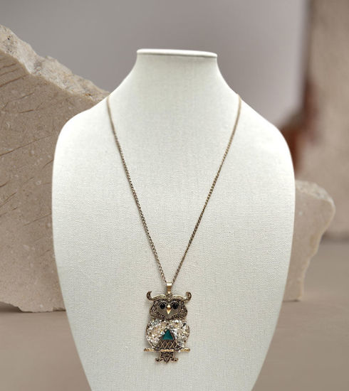 Picture of Trendy Owl Pendant Necklace – Cute & Quirky Long Chain Jewelry for Men & Women